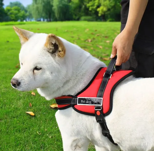 Pet Dogs Pechera Talla S – Rojo