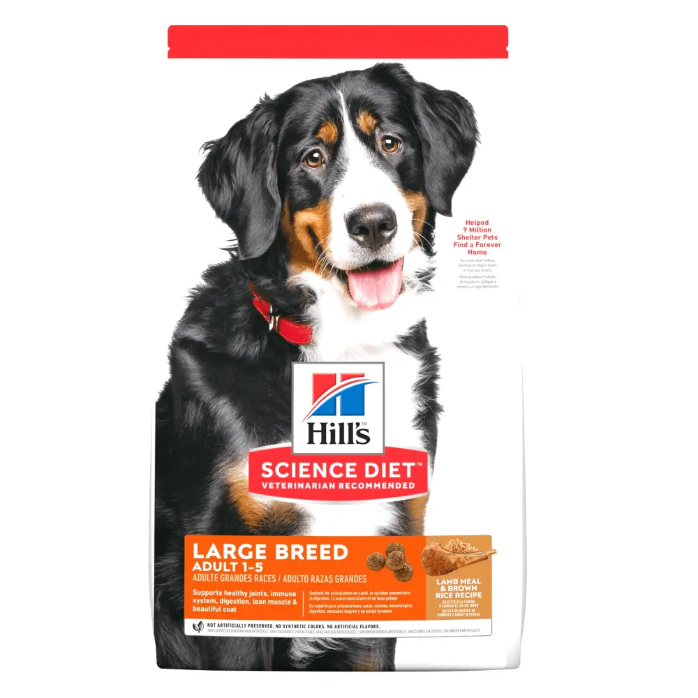 Hills SD Canine Adult Lamb & Rice Large Breed 15 kg- Adulto – Cordero y Arroz – Raza Grande
