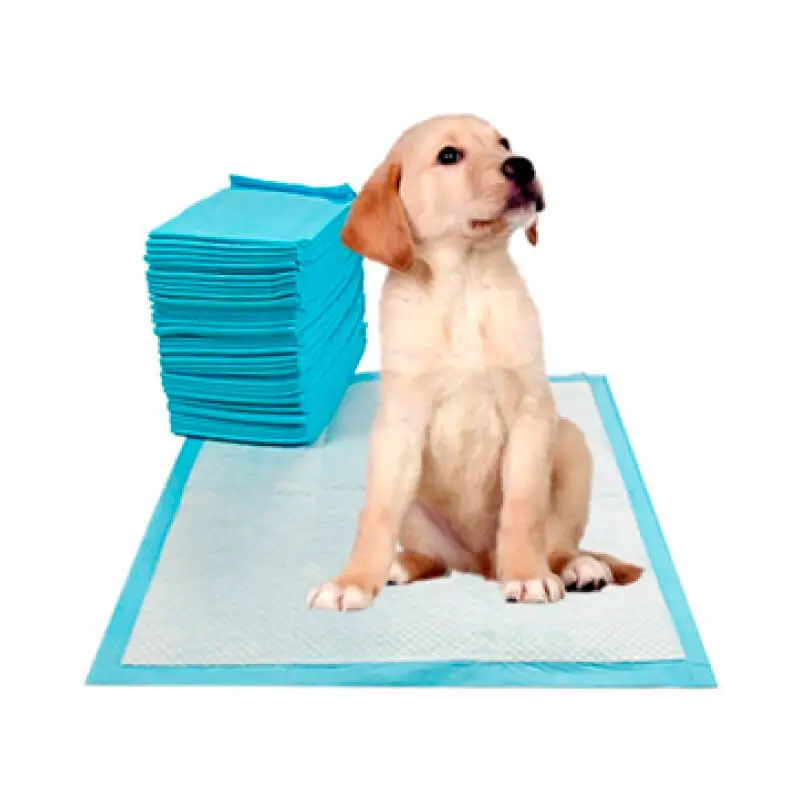 Pads de Entrenamiento x 40 Und – 60 x 60cm