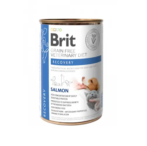 Brit Gf Vet Diets Can Cat & Dog Recovery 400 Gr